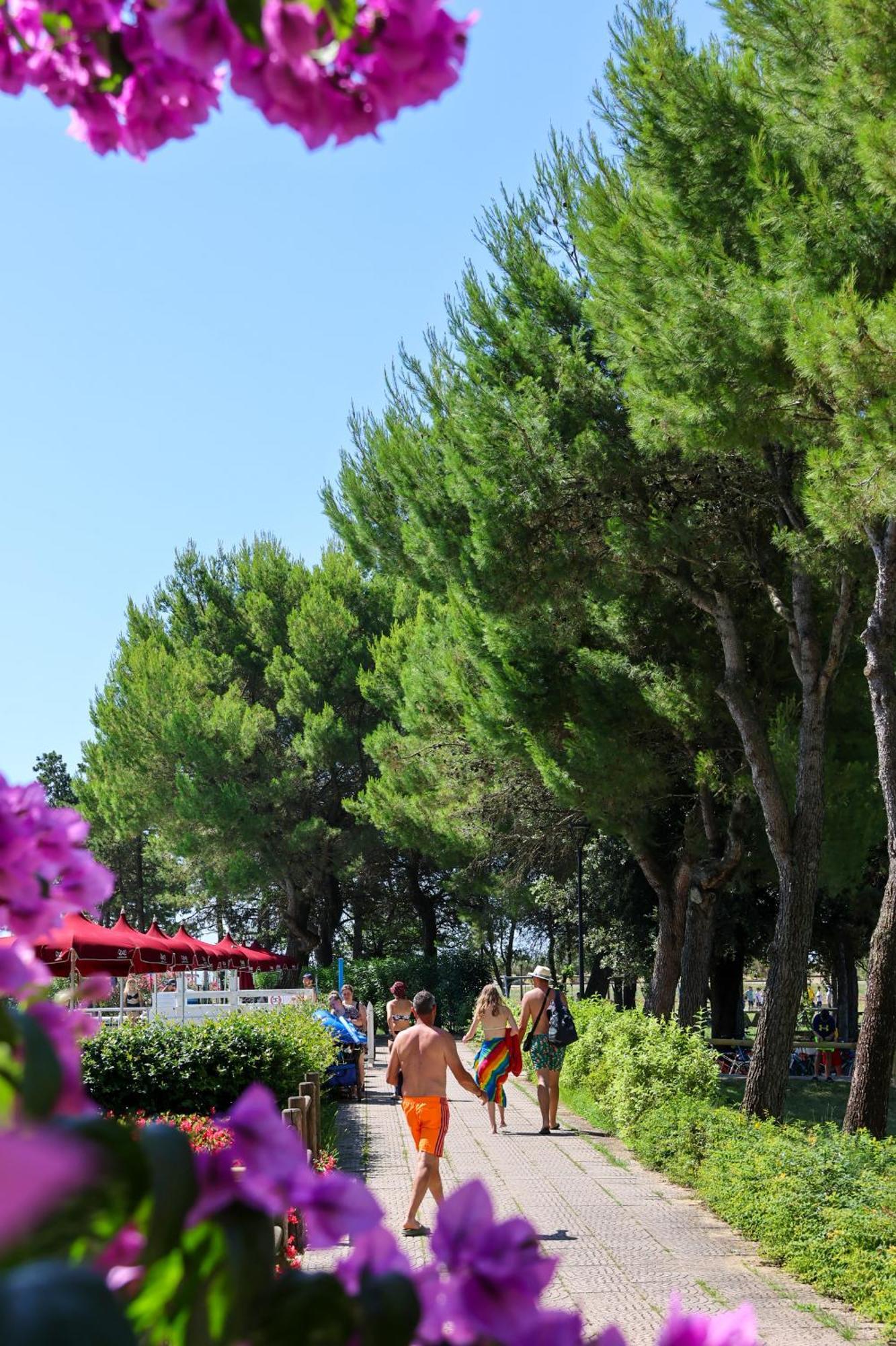 Il Tridente Hotel Bibione Buitenkant foto